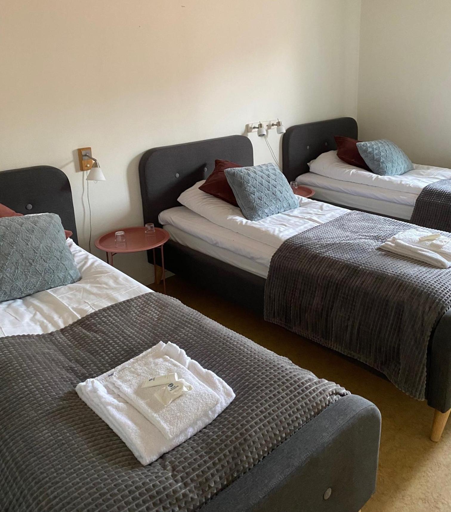 Snoea Bruk Hotell Och Konferens Dala-Jarna Exterior foto