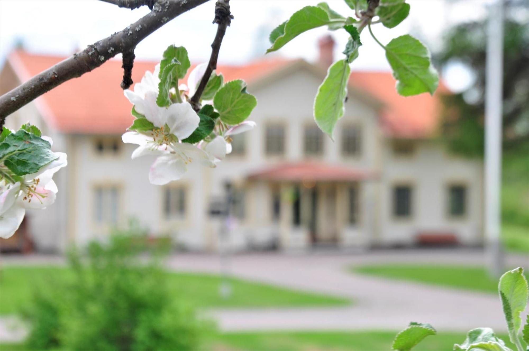 Snoea Bruk Hotell Och Konferens Dala-Jarna Exterior foto
